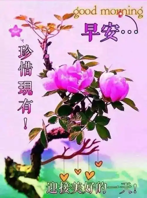 夏季最暖心的早上好问候语早晨好问候祝福表情图片大全