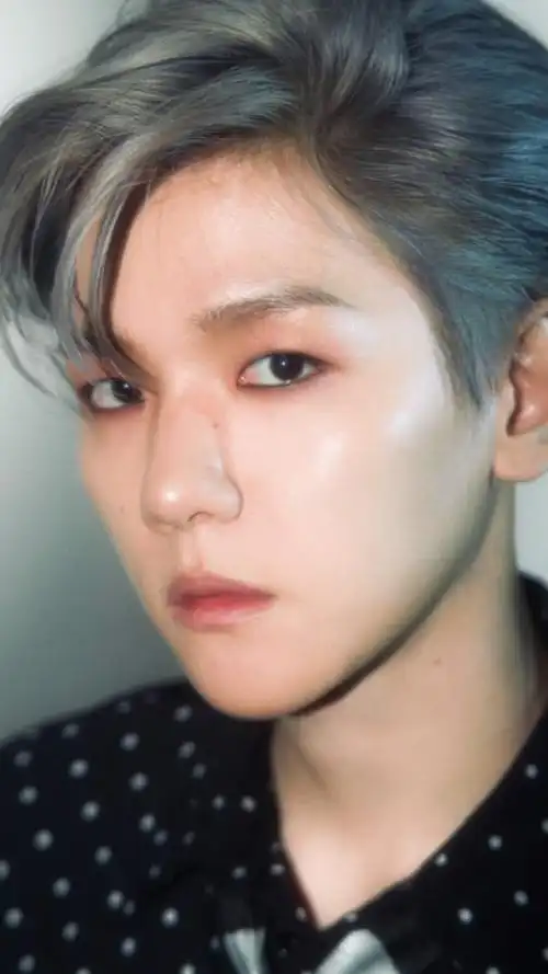 边伯贤银发/不是有那么一句话吗,一见伯贤,误终身