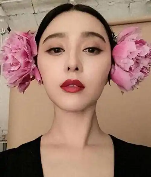 用5套别墅钱整成明星出道,嫁主刀医生,婚后发现丈夫有个男朋友_范冰冰