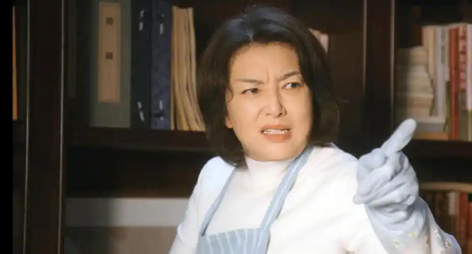 比较晚,但一部作品就让我记住了这个演员,他跟何冰合作《十二公民》