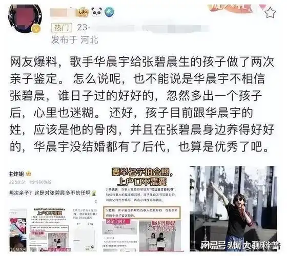 03作为歌手,张碧晨实力不次于华晨宇,为什么执意未婚先孕?