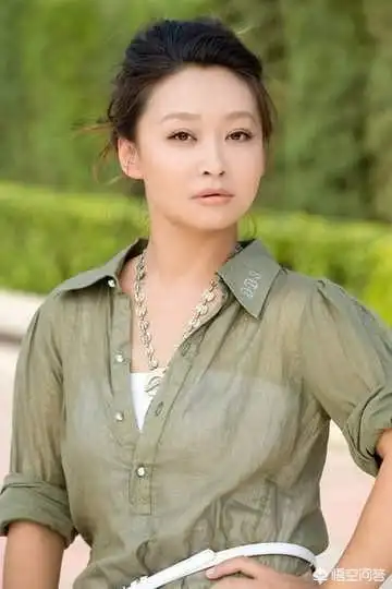 快手老板宿华个人资料简历杨子前妻陶虹现状怎么样