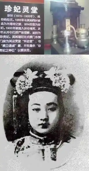 故宫里最神秘的一口井惹上人命官司悬疑重重图