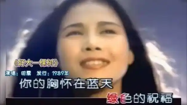 田震最火的三首歌