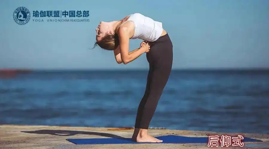 练好这3个瑜伽丰胸体式保证胸围涨一圈