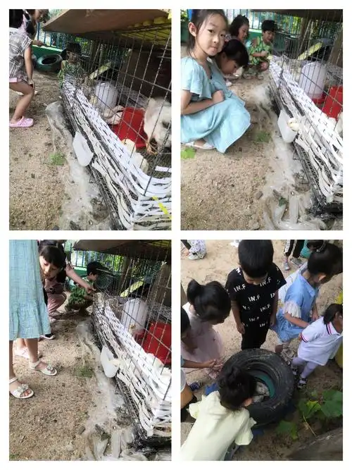 水木华园南宁幼儿园中一班八月第三周