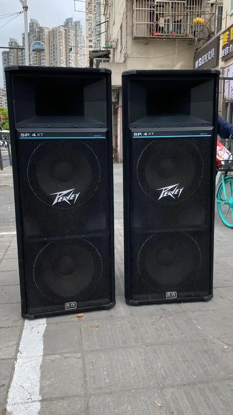 百威音箱#舞台音箱#二手音响 - 抖音