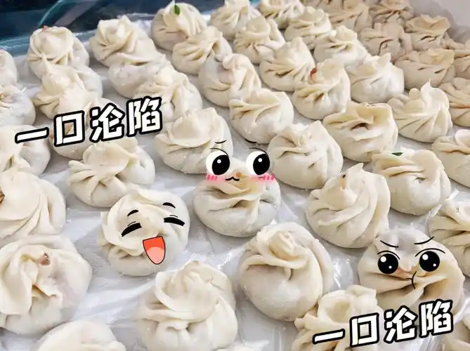 下凡间第一次包的饺子09