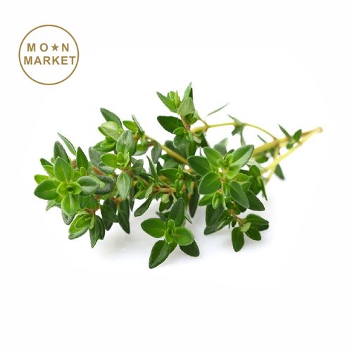 vgbb百里香 thyme 20g  麝香草 牛排用香料 新鲜香料