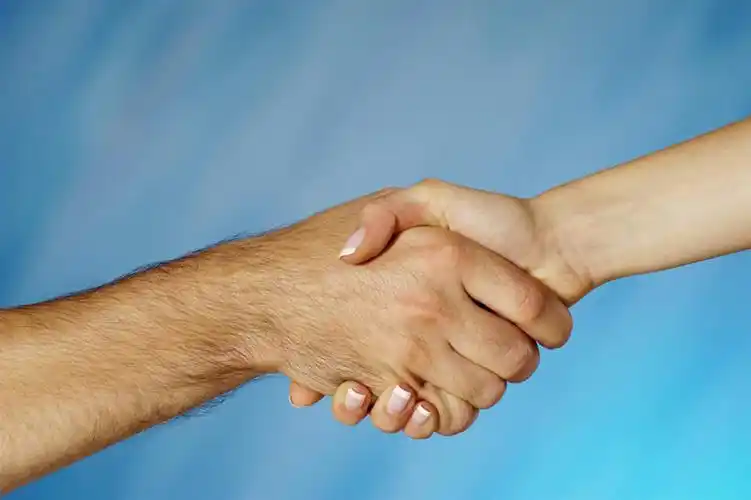西方人,手,两个人,伙伴,朋友,握手,横图,室内,特写,白天,侧面,友谊