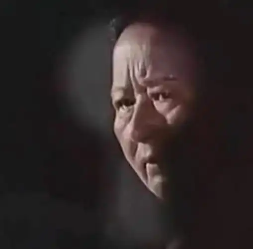 77年《黑三角》:原来女特务还可以是卖冰棍的老太太