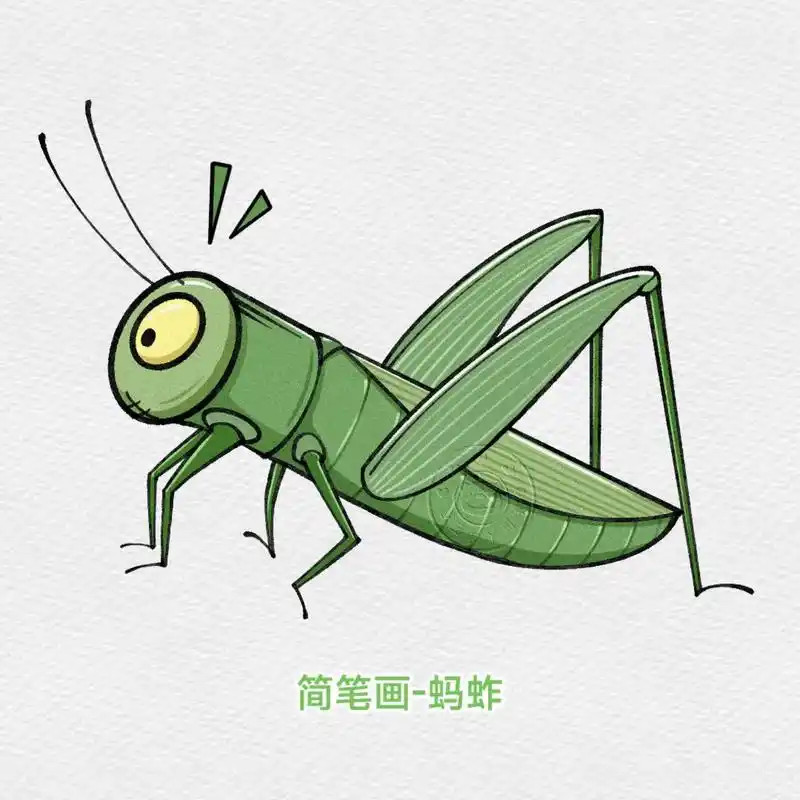 画一只蹦蹦|昆虫简笔画练习小蚂蚱～#带你走进画里 #蚂蚱 # - 抖音