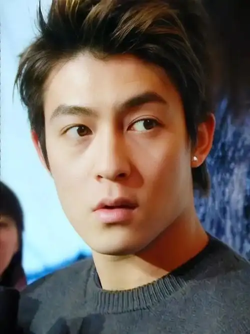 原创这14位香港男星年轻时个个是男神40岁后却面目全非