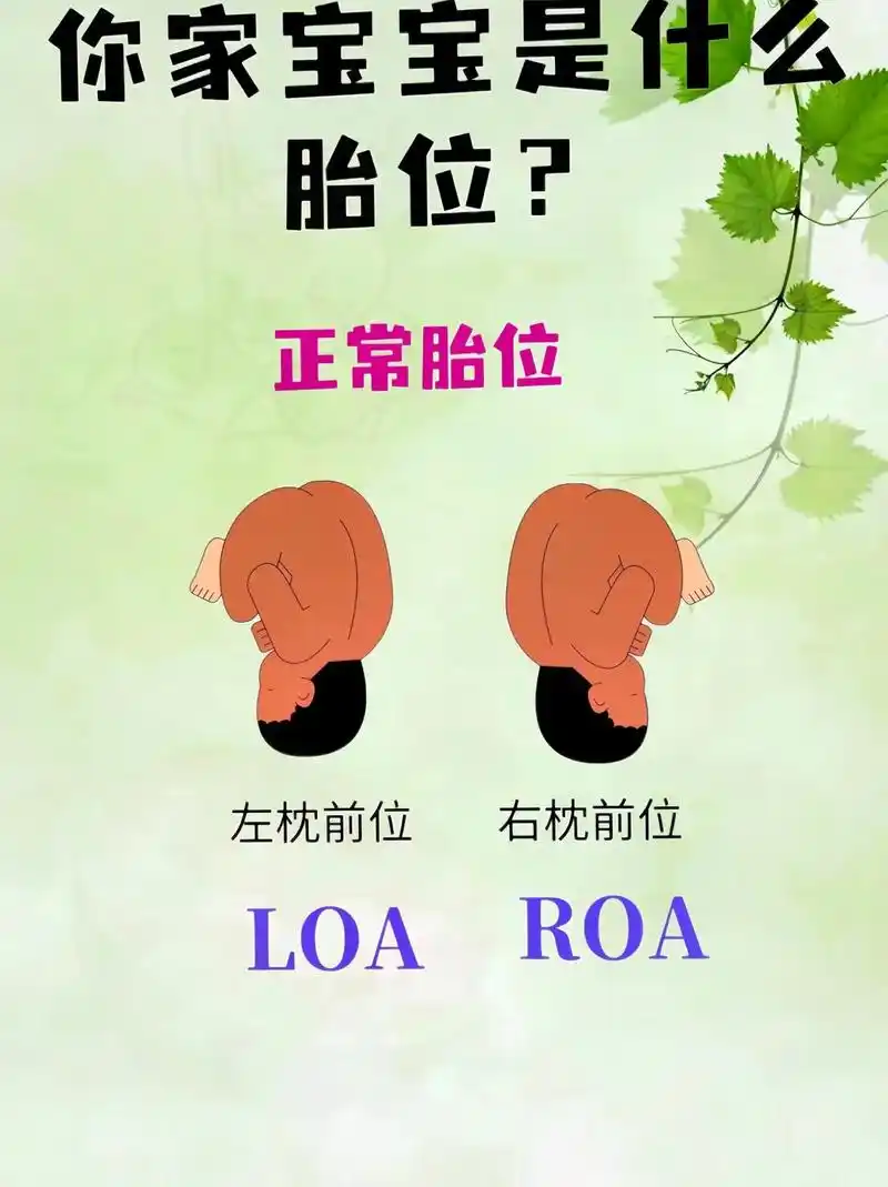 宝宝胎位变化,你家宝宝现在是什么胎位呢#孕晚期 #宝宝胎位  - 抖音