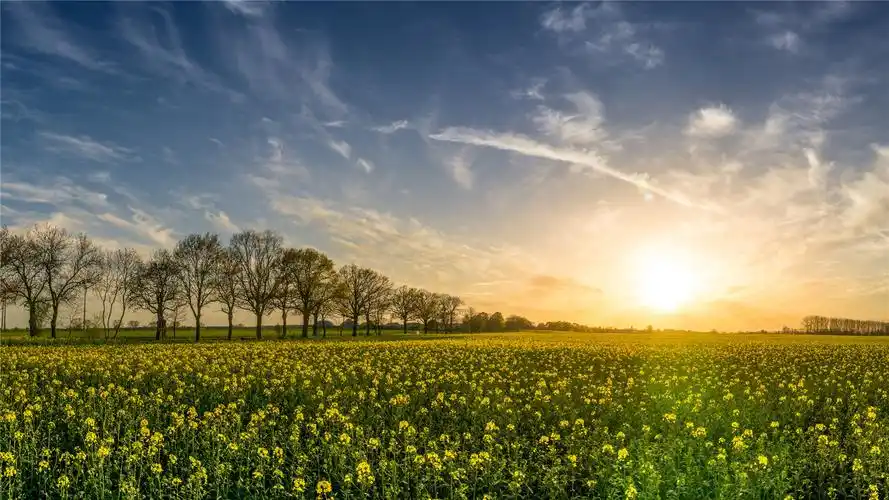 静谧的夕阳落日高清桌面壁纸