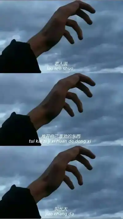 堆糖,美图壁纸兴趣社区