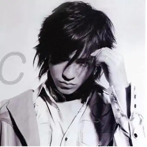 f4流星花园男士假发周渝民中长发帅哥假发男韩版黑色均码