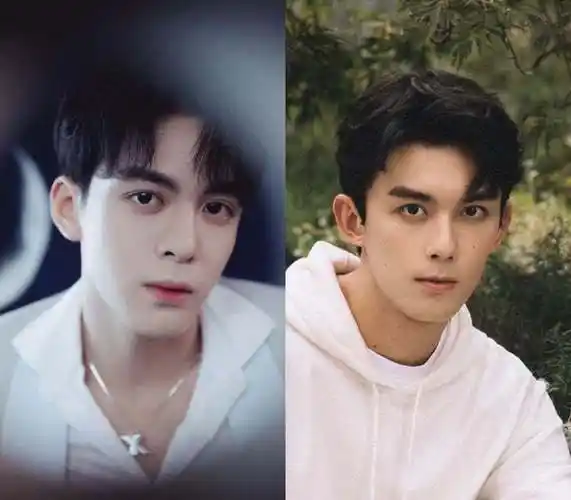 图片来源:微博@曾舜晞/微博@吴磊明星撞脸8:刘涛,曹曦文大家追《星汉