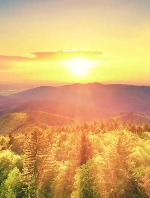 李家新朗诵《日出东方》作者:碑林路人