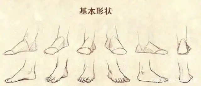 这就是脚部的一些画法展示.