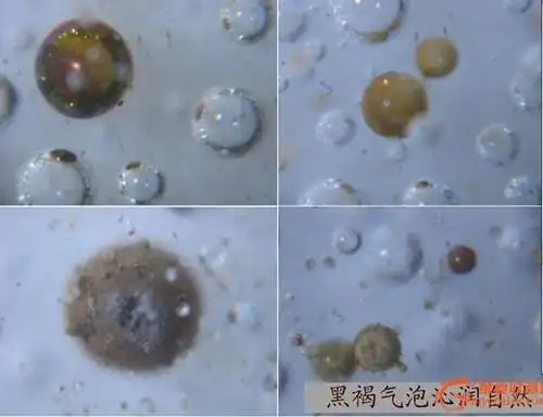 瓷器气泡鉴定准则配图分析