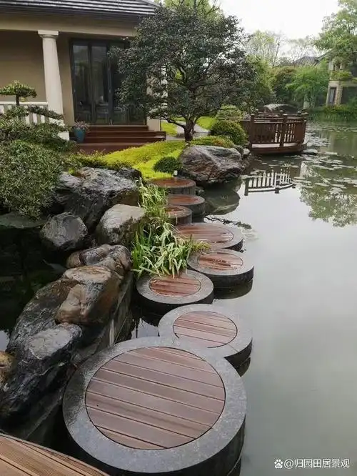 庭院中的水景