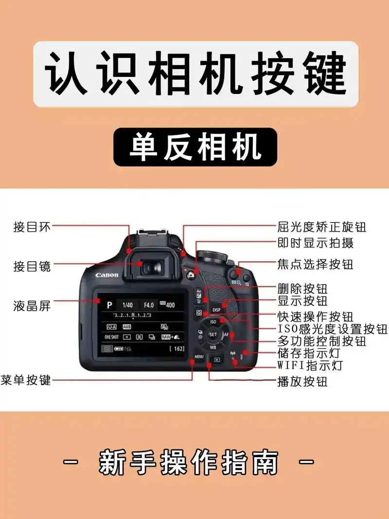 摄影干货92单反相机按键大全6015新手必看第二期 哈喽~宝宝们