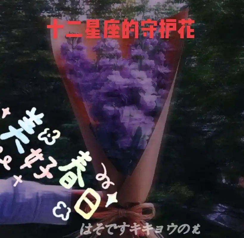 十二星座的守护花-水瓶座  紫罗兰.#抖音图文来了 #十二星 - 抖音