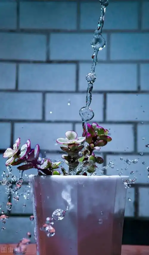 干净让人心静的高清图片,让人看了就静心的高清图片(50张唯美禅意风景