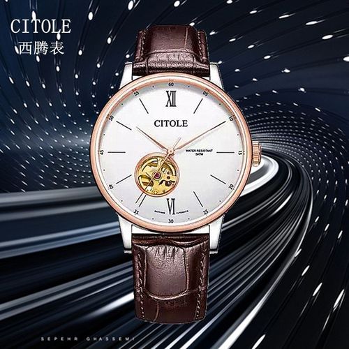 西腾表焦恩俊代言同款半镂空全自动机械腕表真皮表带男表防水9073