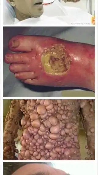 不能让我一个人恶心.