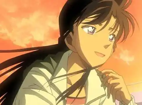 毛利兰:工藤新一的(准)女友,青梅竹马,柯南的同居者.