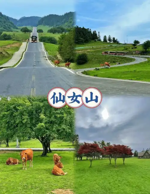 纯玩团四天三晚人均多少,重庆旅游4天3晚详细旅游攻略_day_婷婷_美食