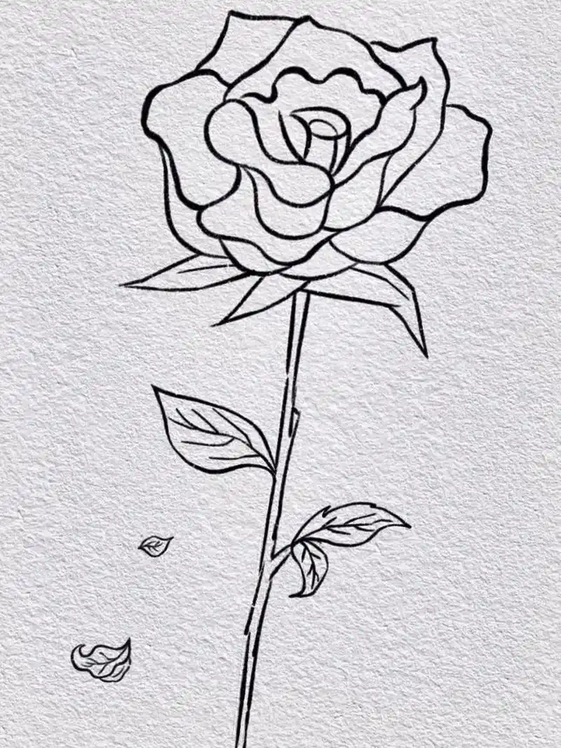 如果上课太累 ,就让ta给你画这个玫瑰花吧#简笔画#画画# - 抖音