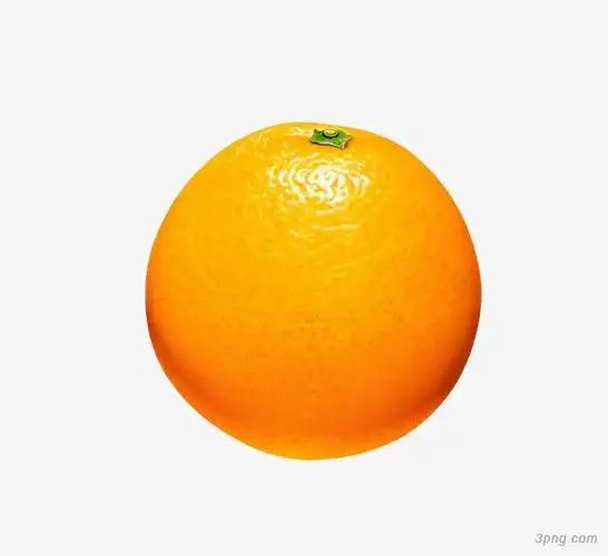 黄橙子水果png素材透明免抠图片-装饰效果