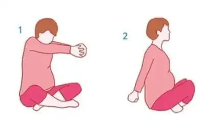 2.盘腿坐着伸展