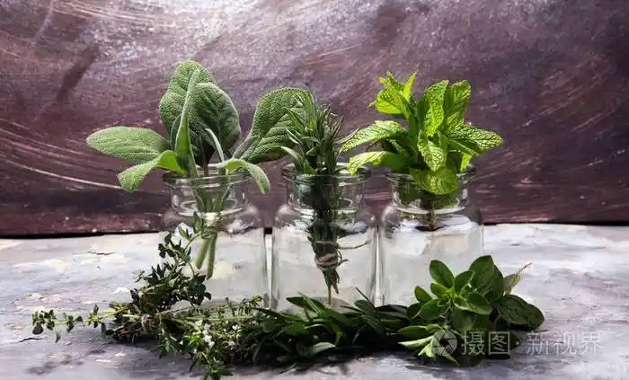 灰色木板上的一堆花园新鲜草药有机天然草本植物