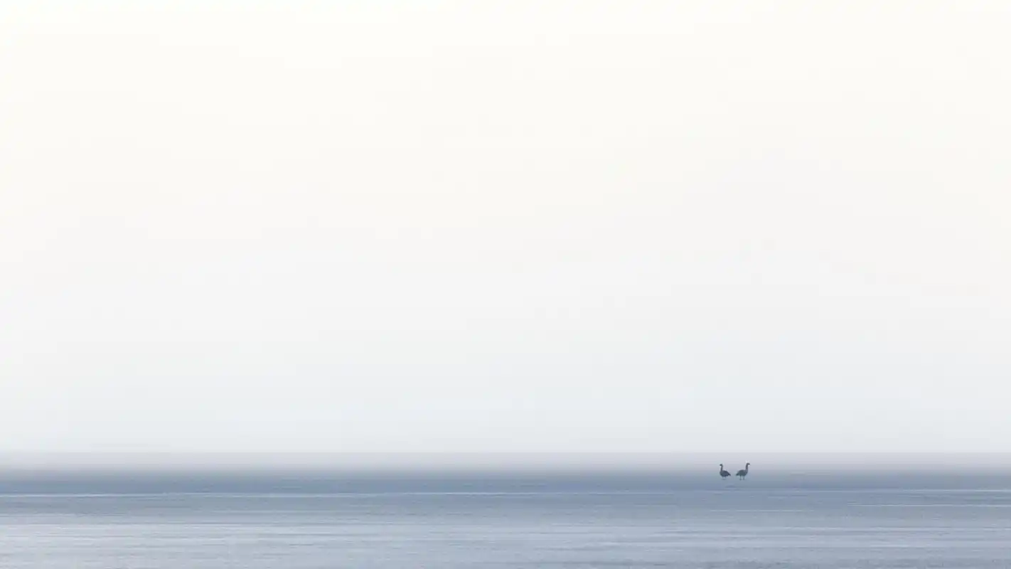 简约派风景摄影图片高清宽屏桌面壁纸