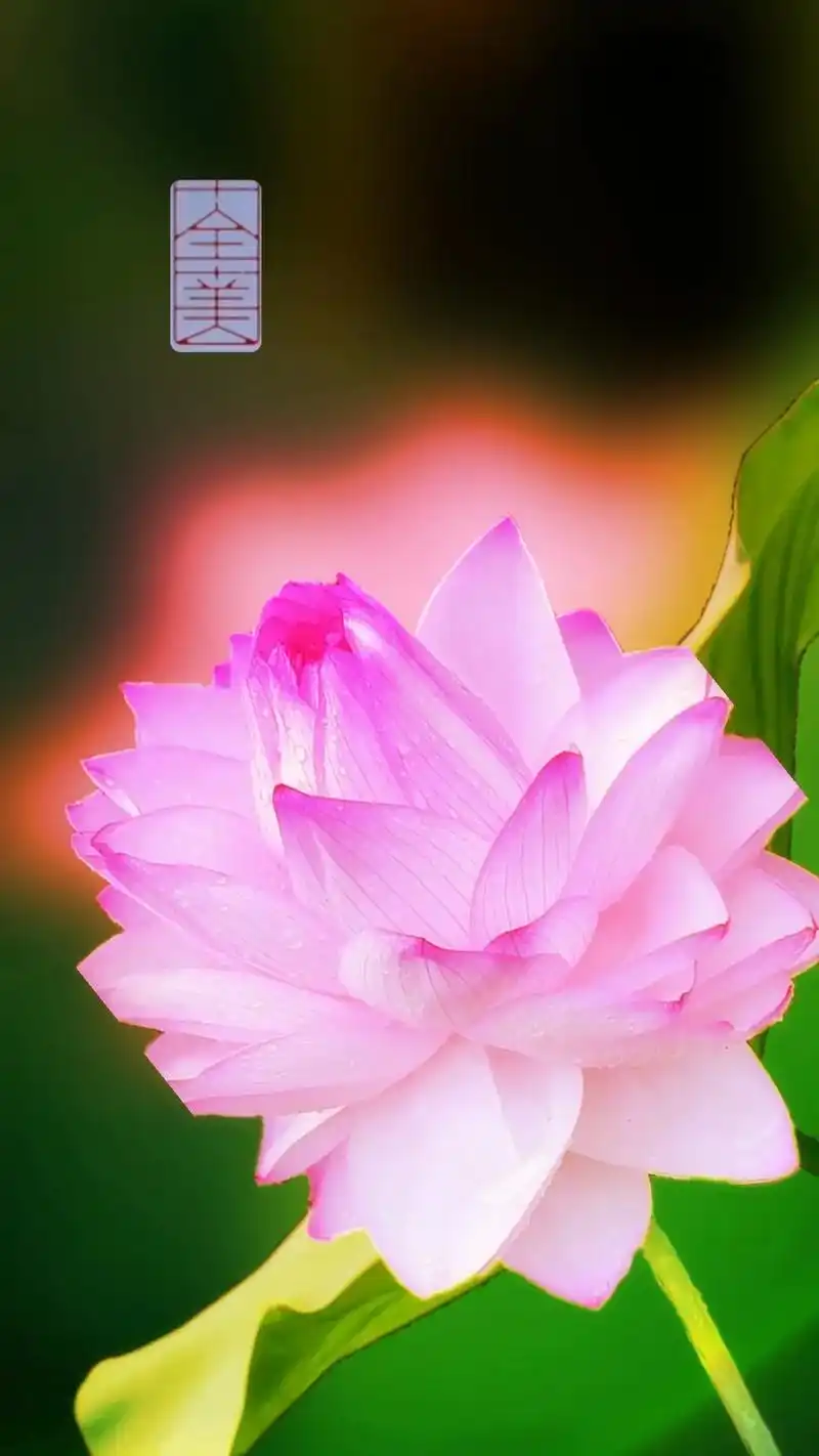 一方一净土,一笑一尘缘,一念一清净,心似荷花开#手机壁纸 # - 抖音