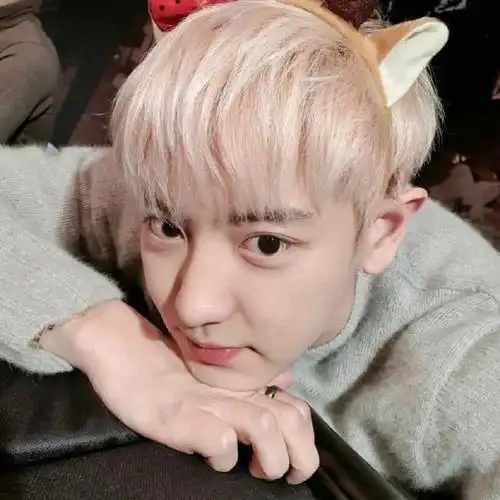 exo朴灿烈氛围感头像