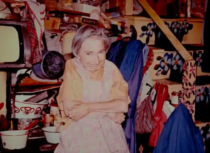 而是出自一个被称作"跛脚鸟"的女人——莫娣·刘易斯(maud lewis).