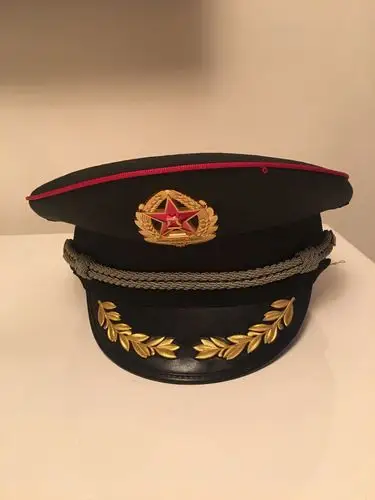 在赵爸的讲解下,我们知道了,陆军的帽子为草绿色,海军的帽子为藏青色