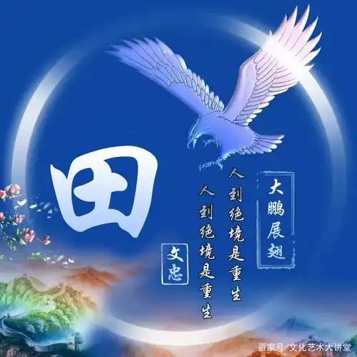 你该换头像了12款大鹏展翅主题姓氏头像助你飞向远方