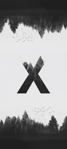 壁纸│黑即是白