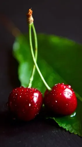 g g g - 堆糖,美图壁纸兴趣社区