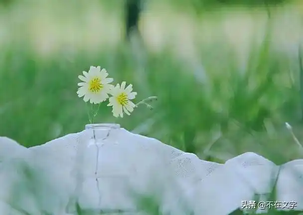 2,唯美的治愈系短句,阳光文艺,令人舒心