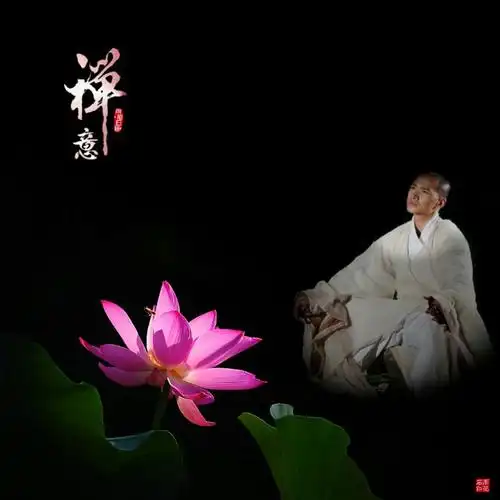 禅意莲花