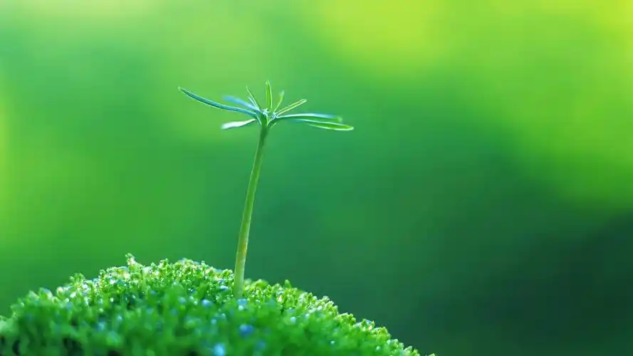 松浦弥太郎的100个基本之no11no15