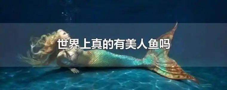 世界上真的有美人鱼吗