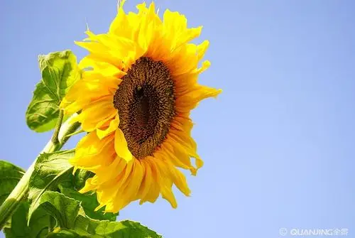 照片图片_图片大全